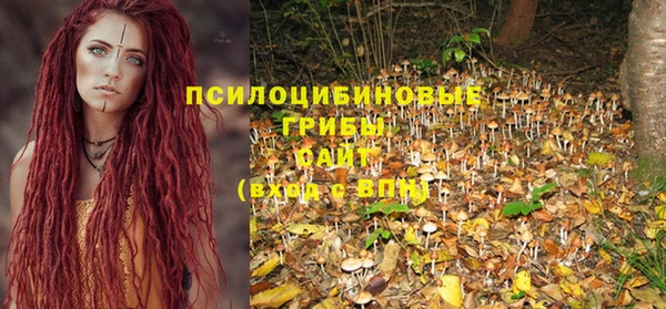 винт Алзамай