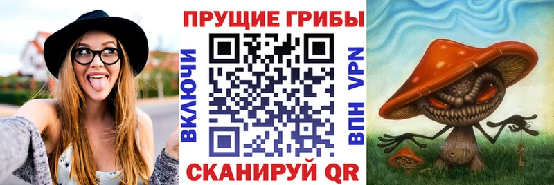 Псилоцибиновые грибы Psilocybine cubensis mega ONION Кохма как найти