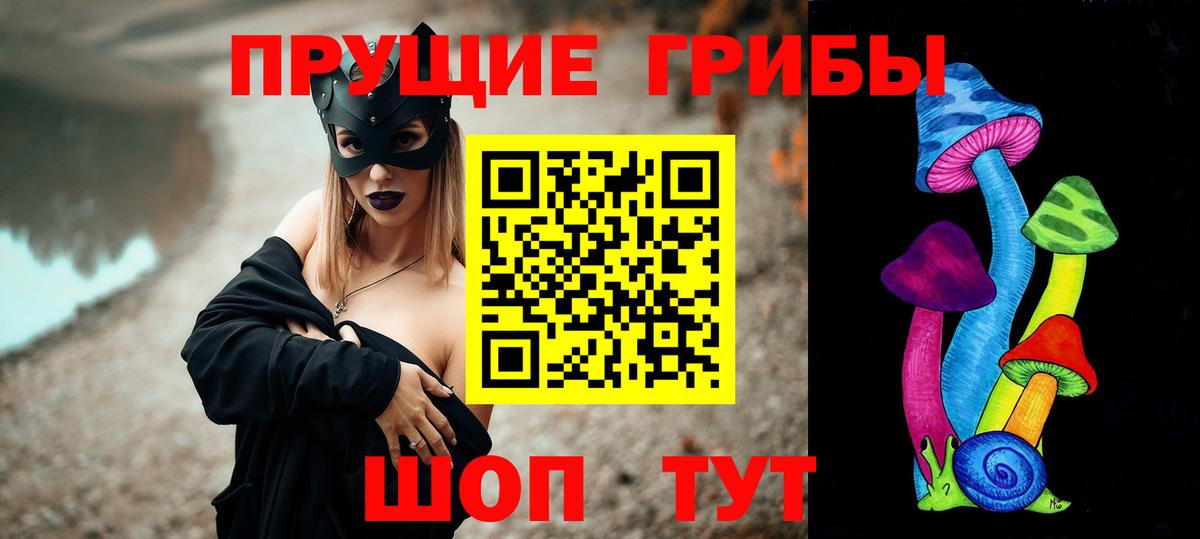 Псилоцибиновые грибы мухоморы  Псилоцибиновые грибы Cubensis  Кохма  Вход с VPN 