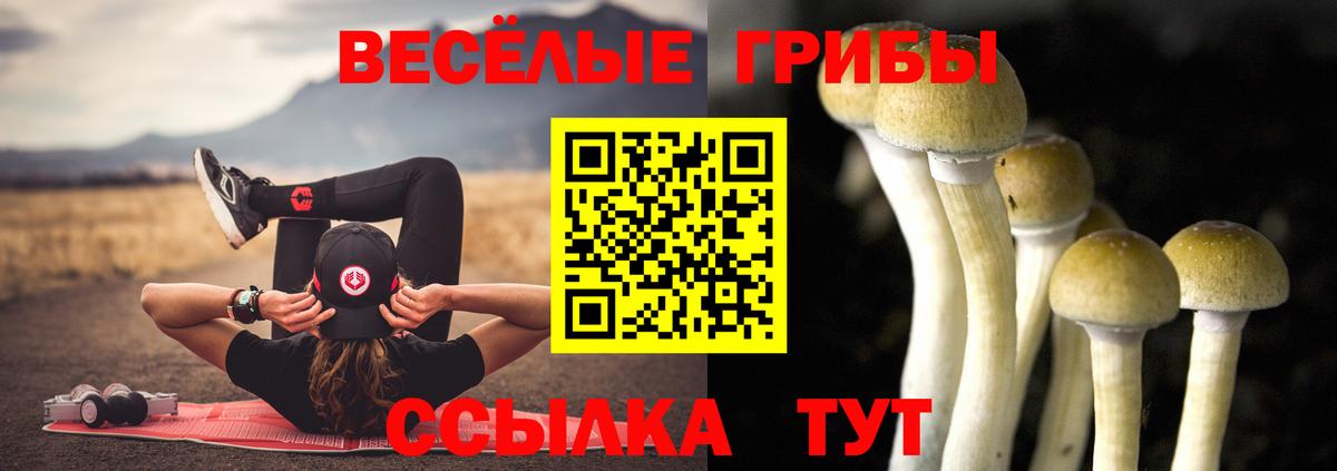 Галлюциногенные грибы Psilocybine cubensis Кохма